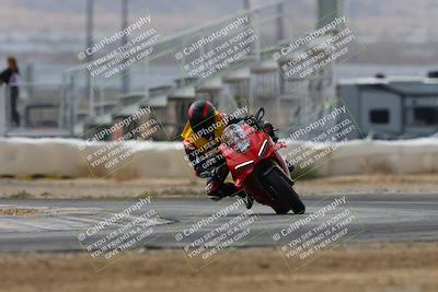 media/Mar-02-2025-Race Pace (Sun) [[8bec80ae00]]/12-Vested (Turn 2) 1111am/